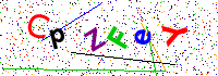 spamschutz